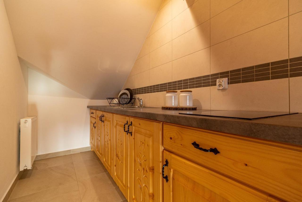 Apartment Apartamenty Willa Olsza Wood House & Mountain View & Sauna & E-Bike Rent Zakopane